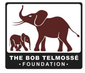 Bob Telmosse’ Foundation Logo