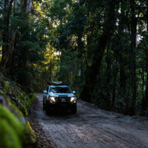 A vehicle navigates the woods in the shade during a 4WD off-road drive.
