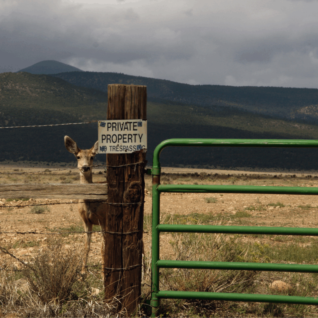 A deer stands behind a post with a No Trespassing sign along a 4WD route.