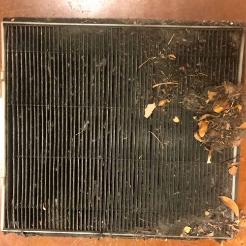 This cabin filter was full of leaves and debris, which was causing a foul smell in the car.